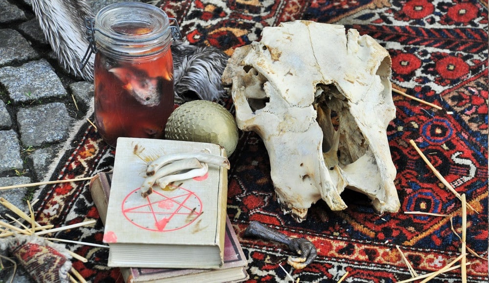 Signs of witchcraft, book with pentagon on it and cow skull.