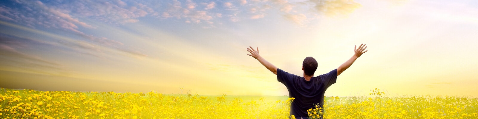 Spiritual healer, man standing in yellow flower field with arms in the air.