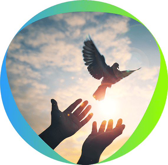 Spiritual healing services, hands releasing dove.